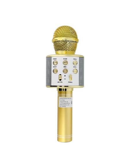 Microphone karaoké multimédia CR58 or