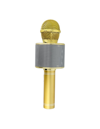 Microphone karaoké multimédia CR58 or