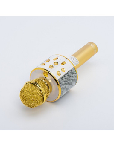 Microphone karaoké multimédia CR58 or