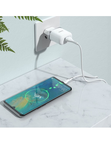 HOCO chargeur secteur USB 3A QC3.0 Fast Charge Special Single Port avec cable Type C N3 blanc