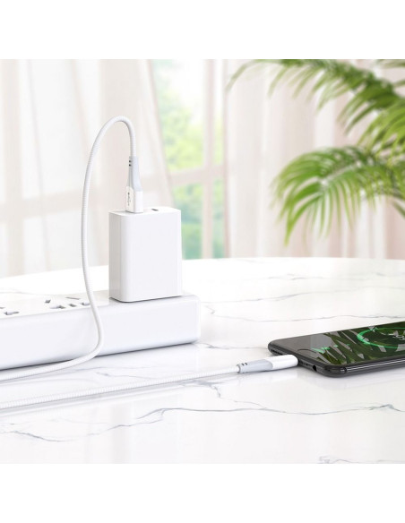 HOCO Câble USB vers Micro 2.4A Ferry X70 blanc