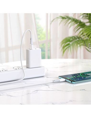Câble USB HOCO pour Type C 3A Ferry X70 blanc