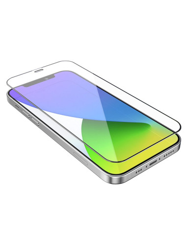 HOCO HD Verre trempé antistatique (SET 25in1) - MULTIPACK pour iPhone 12 / 12 Pro (G10)