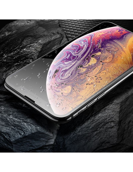 Verre trempé HOCO HD 5D Guardian (SET 10in1) - pour iPhone X / Xs / 11 Pro noir (G14)