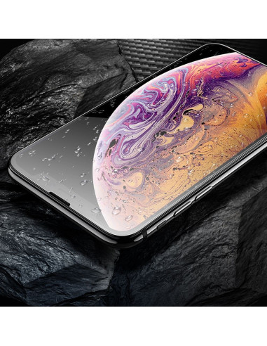 HOCO tempered glass HD 5D Guardian shield (SET 10in1) - for iPhone Xs Max / 11 Pro Max black (G14)