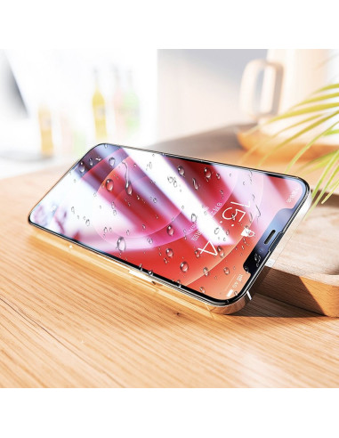 Verre trempé HOCO HD 5D Guardian (SET 10in1) - pour iPhone 12 Pro Max noir (G14)