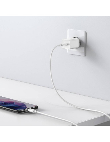 Chargeur secteur BASEUS Type C PD QC3.0 3A 25W CCSP020102/CCCJG25CE blanc
