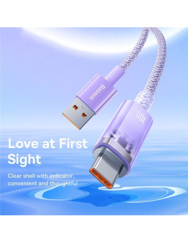 BASEUS Câble Explorer USB A vers Type C PD 100W CATS010505 2 violet