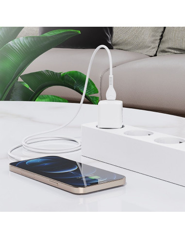 Chargeur HOCO Type C PD 20W N10 blanc