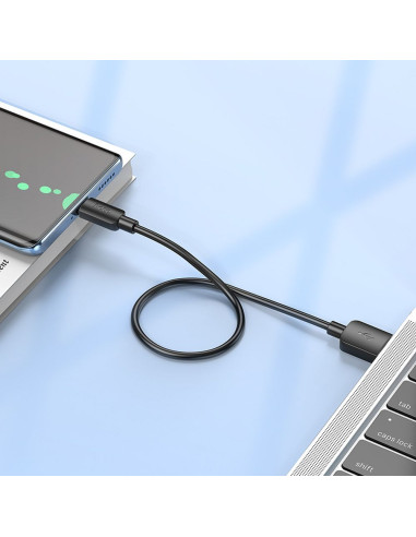 HOCO Câble USB A vers Type C PD 2.4A 27W X96 0.25 m noir