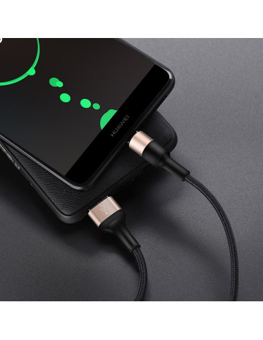 HOCO cable USB Xpress Type C X26 noir-or