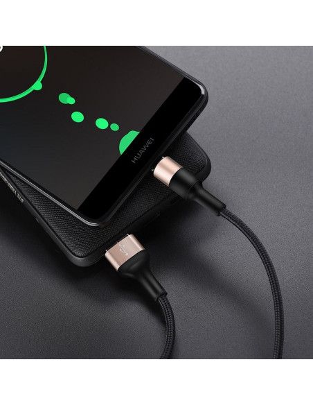 HOCO cable USB Xpress Type C X26 noir-or