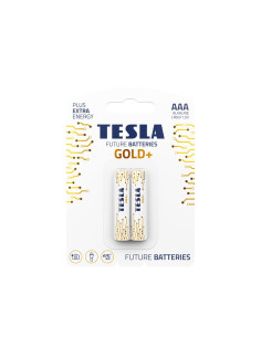 Pile alcaline TESLA R3 (AAA) GOLD+ [2x120] 2 pièces