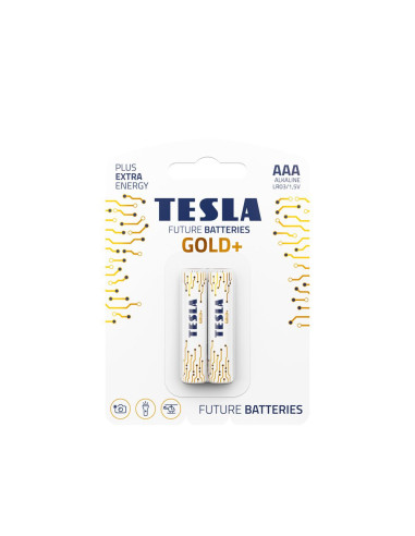 Pile alcaline TESLA R3 (AAA) GOLD+ [2x120] 2 pièces