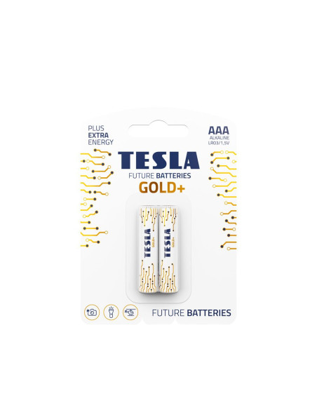 Pile alcaline TESLA R3 (AAA) GOLD+ [2x120] 2 pièces