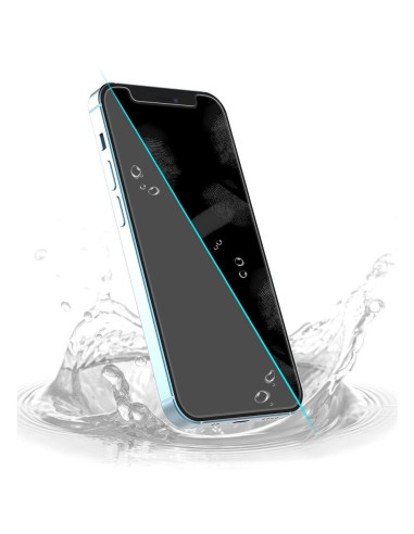 Verre trempe antibacterien ARAREE Sub Core pour IPHONE 12 MINI transparent