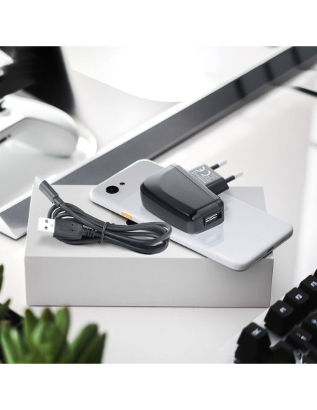CHARGEUR MICRO USB UNIVERSEL AVEC CABLE DETACHABLE 2A BLUE STAR LITE