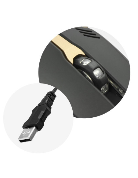 Mousse optique pour les joueurs 2400 DPI USB AM-98