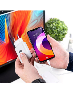 Chargeur secteur pour iPhone X/11/12/13/14 18W avec charge PD avec câble détachable Blue Star 2