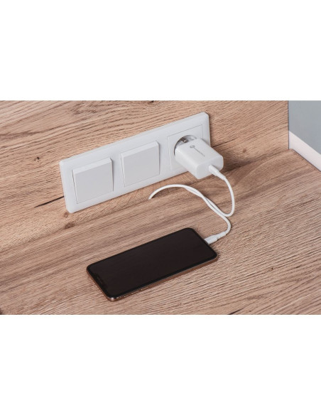 Chargeur secteur Forcell avec câble USB type C et câble type C - 3A 25W avec fonction de charge PD et QC 4.0