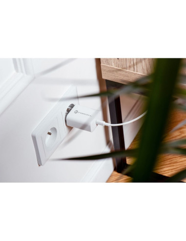 Chargeur secteur Forcell avec câble USB type C et câble type C - 3A 25W avec fonction de charge PD et QC 4.0