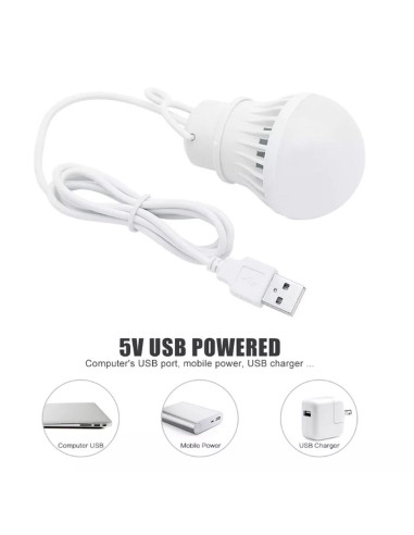 Ampoule LED USB lumière blanche 3W câble 1m 200lm