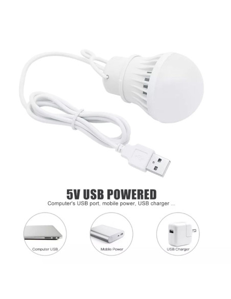 Ampoule LED USB lumière blanche 5W câble 1m 350lm