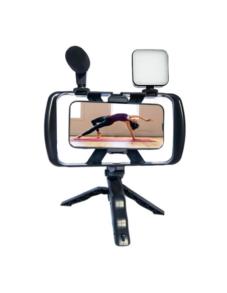 Kit / support selfie avec télécommande bluetooth trépied pour diffusion en direct avec lumière LED, microphone, télécommande TL-